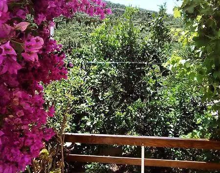 Apartamento Faros Oasis *