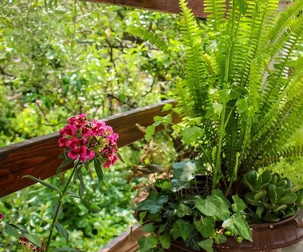 Faros Oasis Apartament