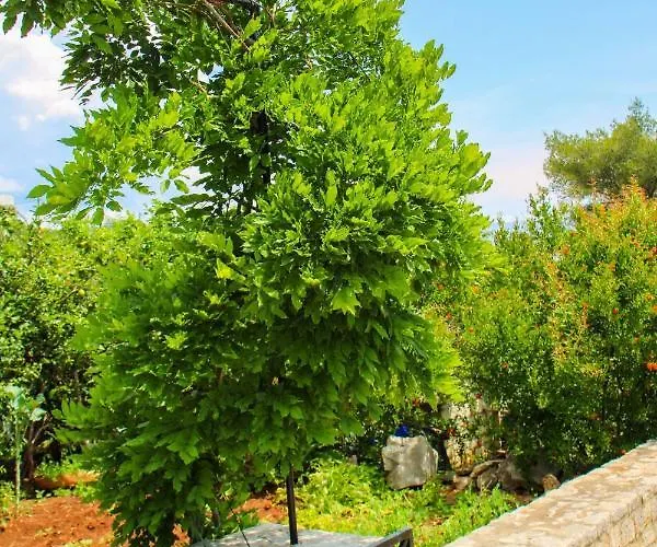 Apartament Faros Oasis Gdinj