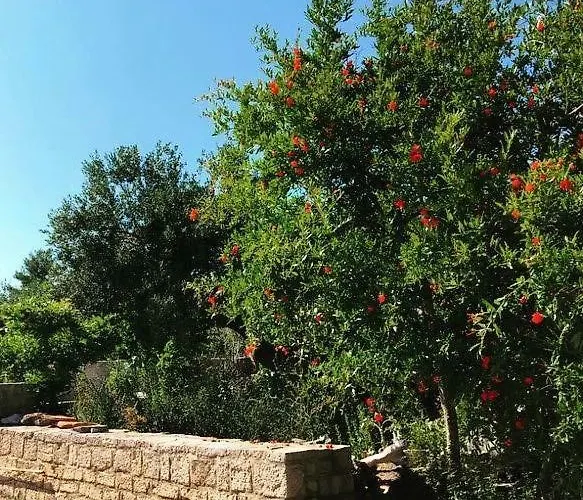 Faros Oasis Apartament *