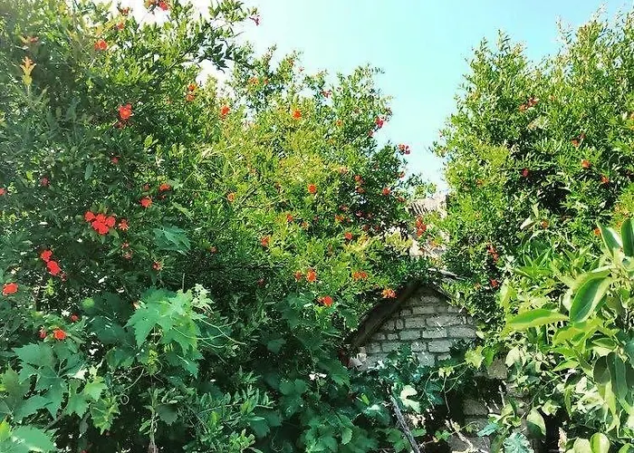 Apartament Faros Oasis