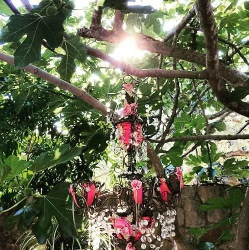 Apartament Faros Oasis *