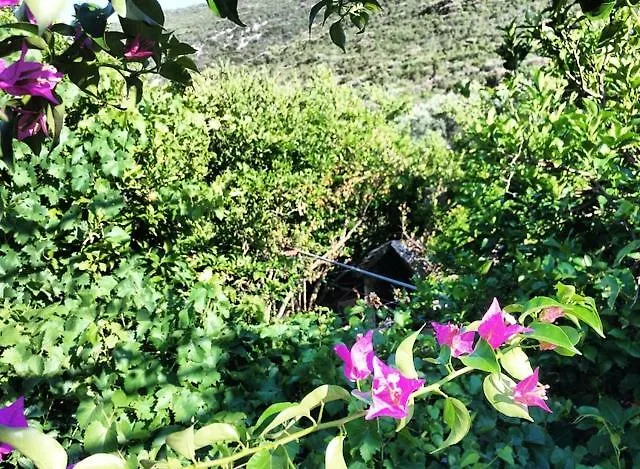 Apartament Faros Oasis Gdinj