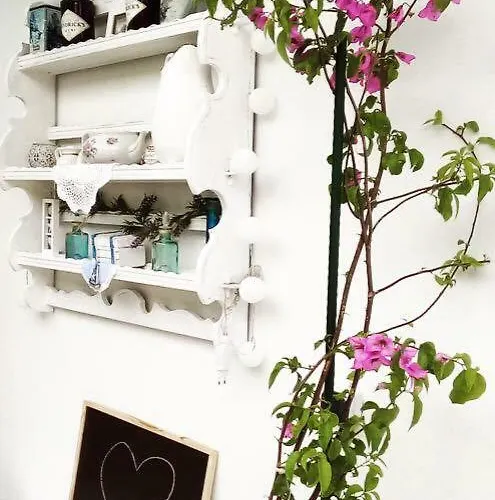 Faros Oasis Apartament