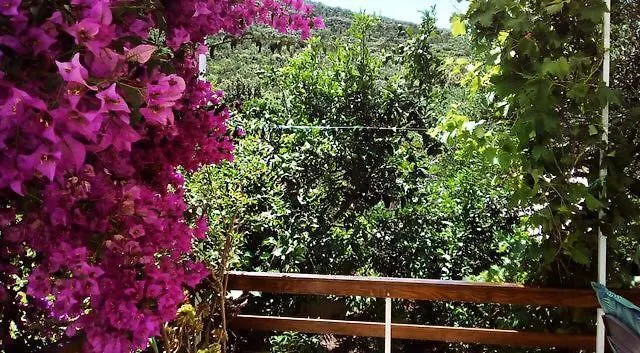 Apartament Faros Oasis *