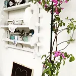 Faros Oasis Appartement