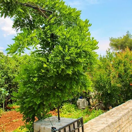 Appartement Faros Oasis Gdinj