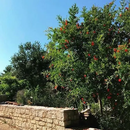 Faros Oasis Lägenhet *