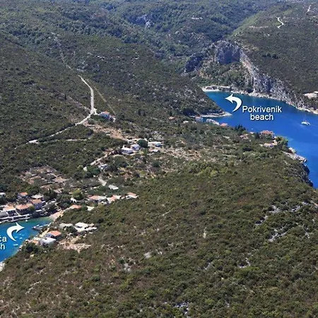 Faros Oasis * Gdinj