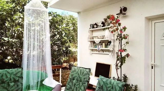 Faros Oasis